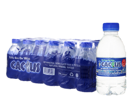 MINERAL WATER Cactus For Discount