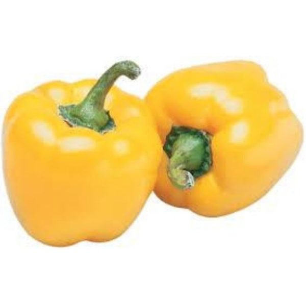 BELL PEPPER Yellow Cili Apple Kuning Cheap