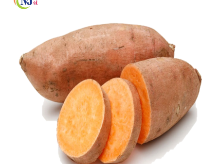 KELEDEK KUNING   Sweet Potato Orange Online Hot Sale