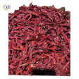 CILI KERING   DRIED CHILLI 668 China Cheap