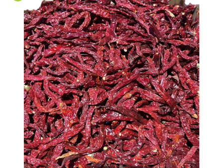 CILI KERING   DRIED CHILLI 668 China Cheap