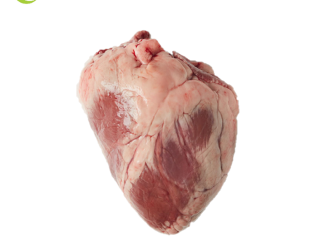 LAMB HEART Aust Nz Fz Online now