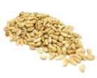 PINE NUT Australian Supply