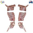 LAMB CARCASE 6 WAY Frozen Australian Online