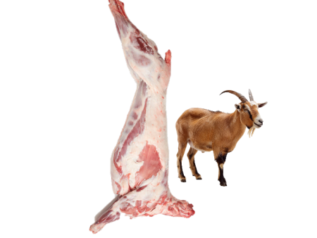 GOAT CARCASE Australia Frozen For Discount