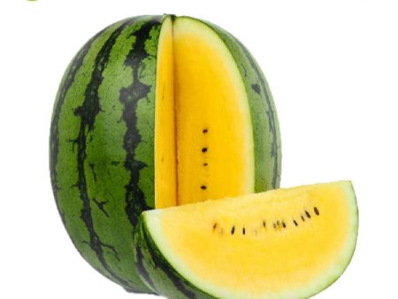 TEMBIKAI WATERMELON YELLOW For Discount