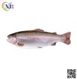 FISH SALMON TROUT WILD Norway FRESH Online Hot Sale