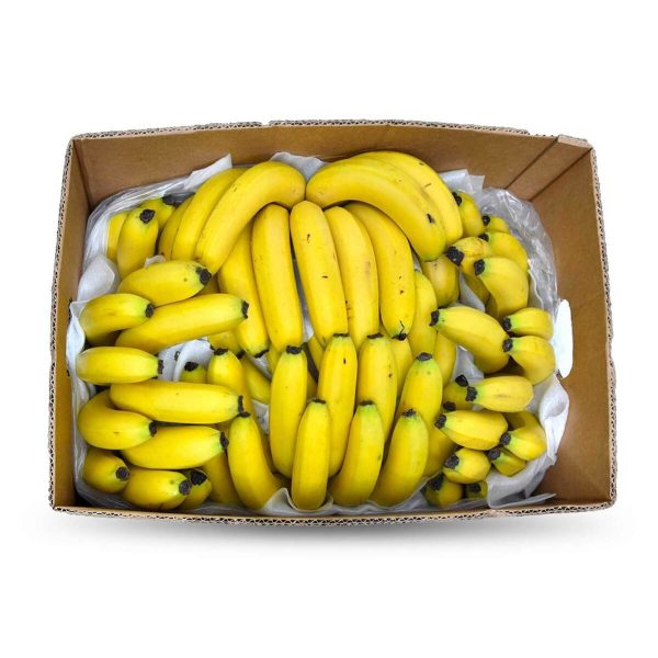 PISANG MONTEL  BANANA CAVENDISH Fresh Online now