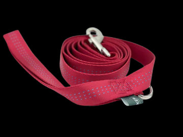 Jwalker 6 Foot Leash - Red For Cheap