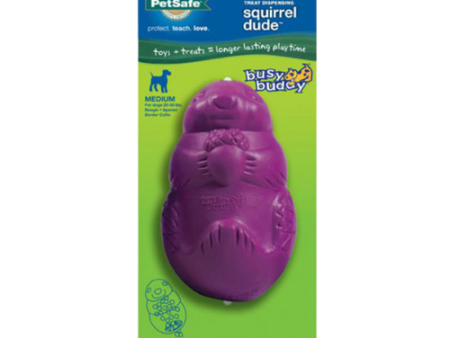 Pet Safe Squirrel Dude For Discount