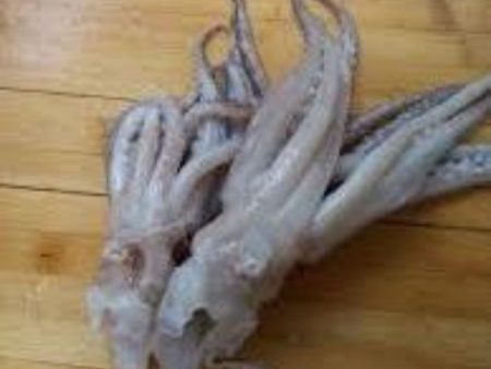 SQUID HEAD CLEAN BIG Frozen 2kg block For Sale