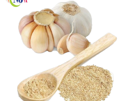 GARLIC POWDER Online Sale