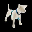 Lupine Basic Harness Aqua Online