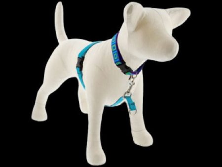 Lupine Basic Harness Aqua Online