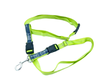 Jwalker Utility Belt - Lime Online Hot Sale