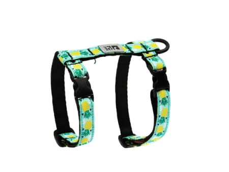 RC Pet Kitty Harness - Pineapple Hot on Sale