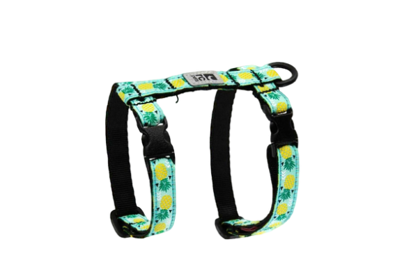 RC Pet Kitty Harness - Pineapple Hot on Sale