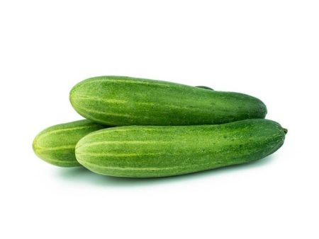 TIMUN Susu   CUCUMBER For Sale