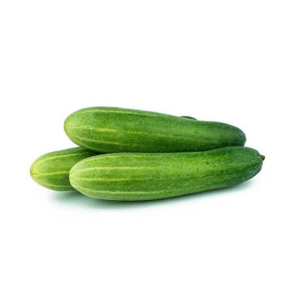 TIMUN Susu   CUCUMBER For Sale