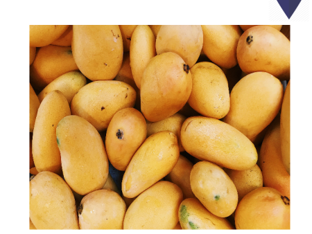 MANGOES MASAK Chikunan Fresh Local For Sale