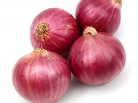 ONION RED BIG Bawang Merah Besar (with skin) For Discount