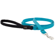 Lupine Basic Leash - Aqua 6ft Online Hot Sale