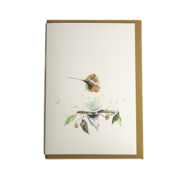 Hummingbird - Greeting Card For Sale