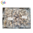 OYSTER MEAT Frozen 1kg+- PACK on Sale