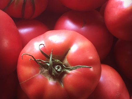 Tomate Savignac on Sale