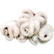 OCTOPUS BABY White Sale