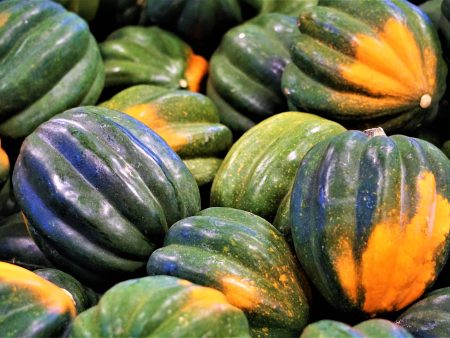 Courge Poivré Sweet REBA Online Sale