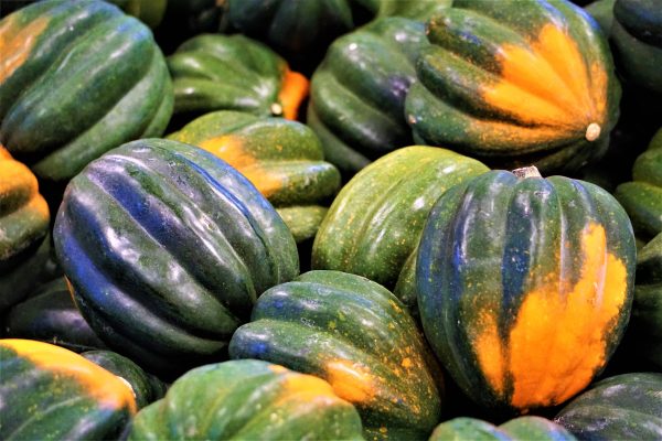 Courge Poivré Sweet REBA Online Sale