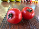 Tomate cerise Cherry Fox Hot on Sale