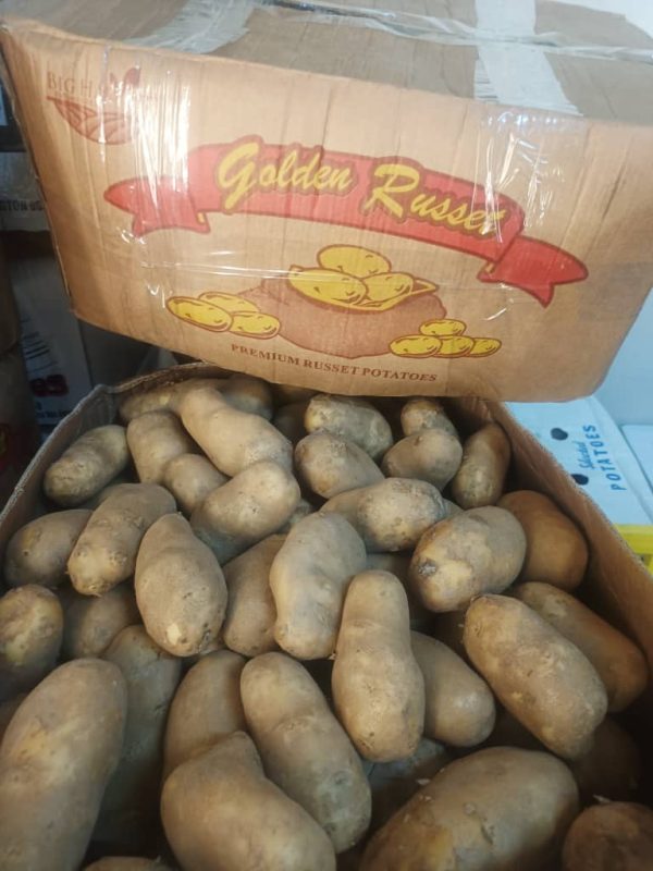 POTATO RUSSET USA Supply