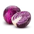 KOBIS BULAT   CABBAGE ROUND Purple Online