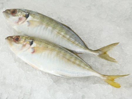 FISH SELAR Frozen (6-8pcs) Sold by kg Online Sale