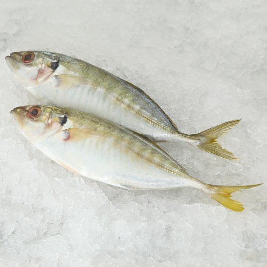 FISH SELAR Frozen (6-8pcs) Sold by kg Online Sale