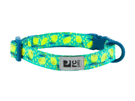 RC Pet Kitty Collar - Lemonade Discount