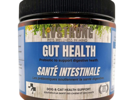 Livstrong Gut Heath 100g For Cheap