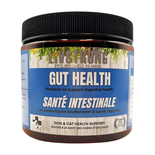 Livstrong Gut Heath 100g For Cheap