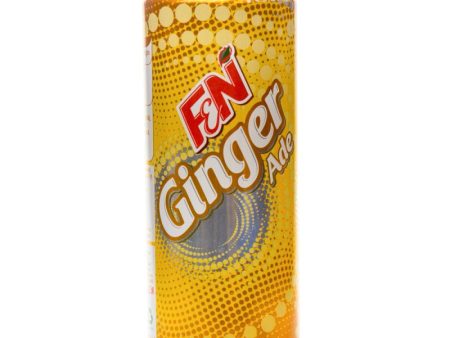 FN GINGER ALE 325ml tin Online now