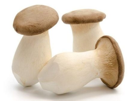 MUSHROOM KING OYSTER ERYNGII 200g pack Online now