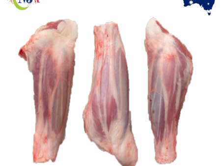 LAMB SHANK Bone-In New Zealand Frozen Sale