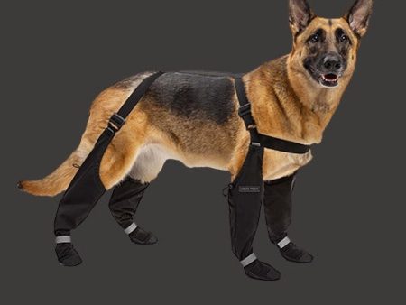 Canada Pooch Suspender Boots Black 5 For Cheap