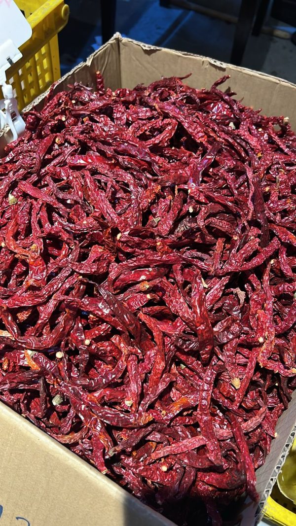 CILI KERING   DRIED CHILLI 668 China Cheap