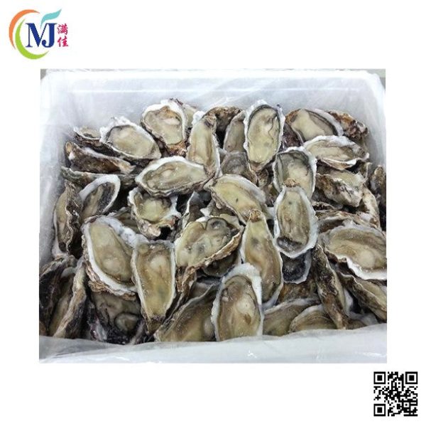 OYSTER Half Shell China Frozen Hot on Sale