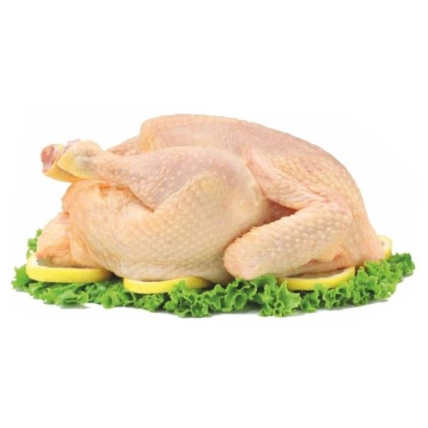 CHICKEN VILLAGE Males (1.3kg-1.5kg+-) Sold by kg For Discount