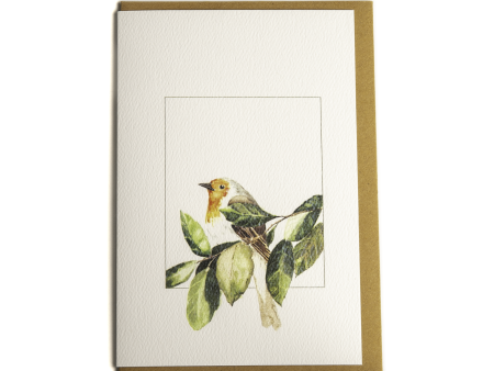 Robin - Greeting Card Online Hot Sale