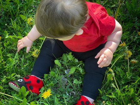 Zooties Baby Felted Shoes Online Sale