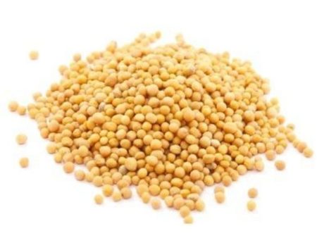 BIJI KAS KAS White Mustard Seed Cheap